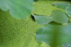 梅雨本番～③