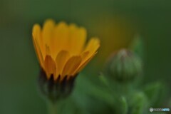 6年前の冬知らず～ⅱ