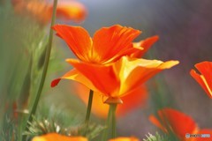 希望の持てる愛。