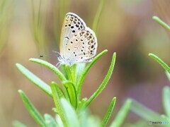 別れの季節～Ⅱ