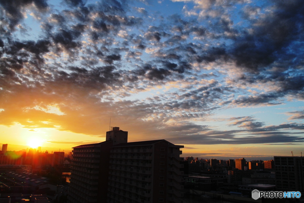 昨夕の汐入展望－②