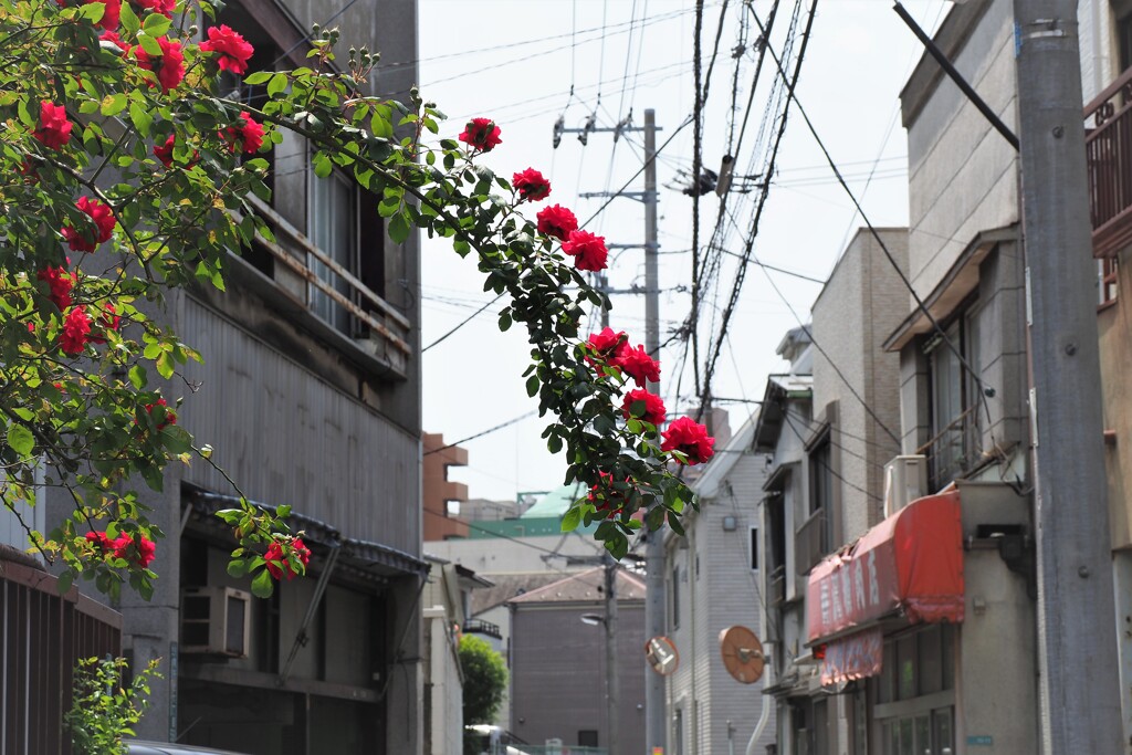 街中で、、、ⅱ