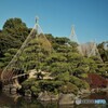 隅田公園と牛嶋神社
