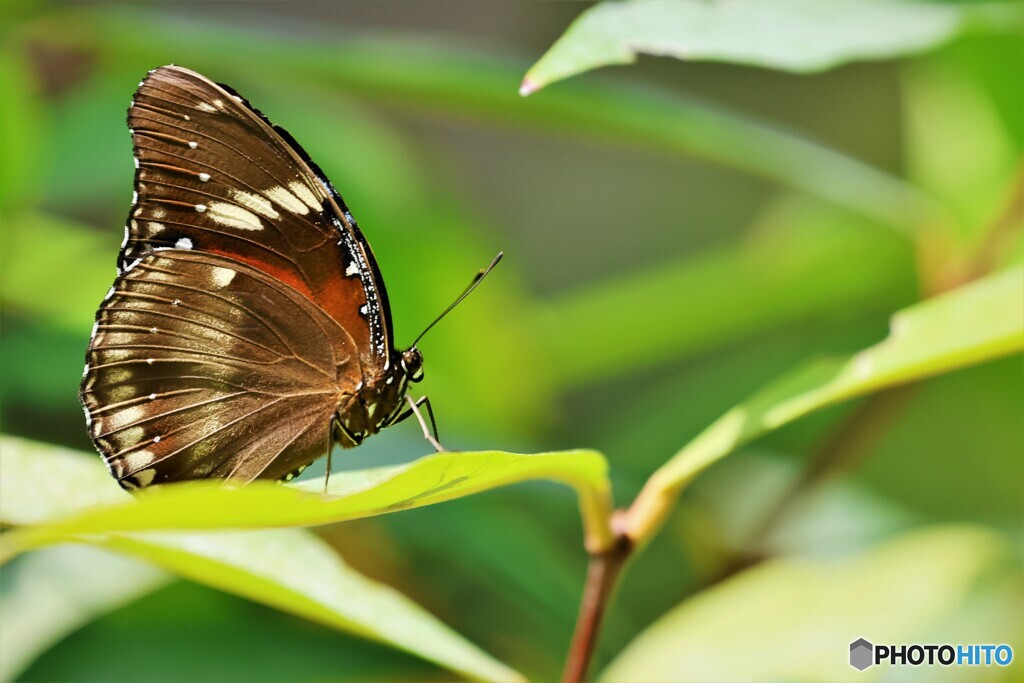 ２０２３生物園～ⅴ