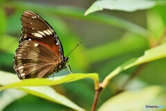 ２０２３生物園～ⅴ