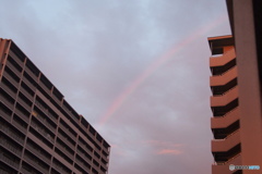 昨夕の東の空。