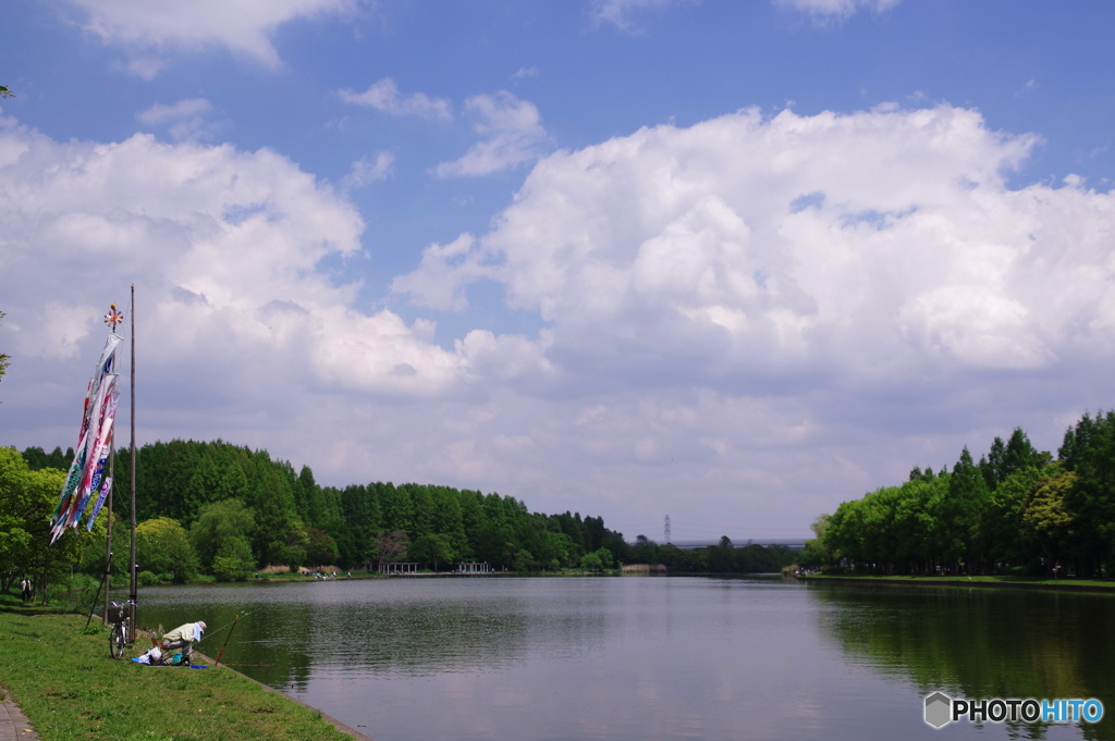 水元公園の鯉のぼり。