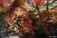 輪王寺の秋ー③