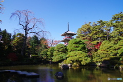 輪王寺の秋ー①