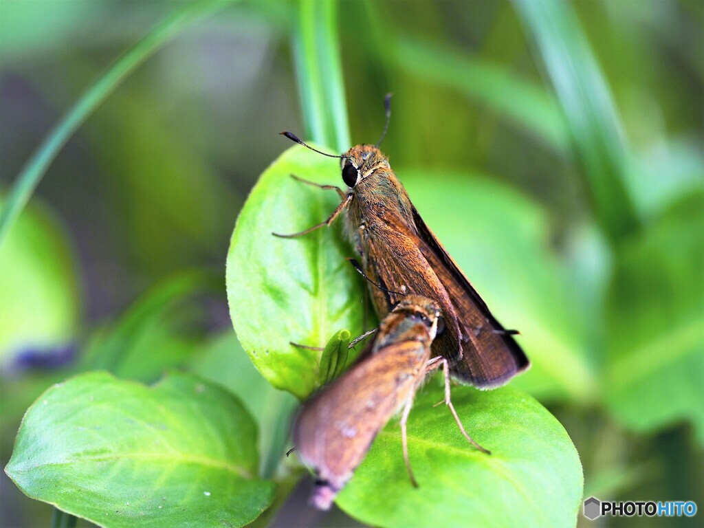 しつこいな～、、、？？