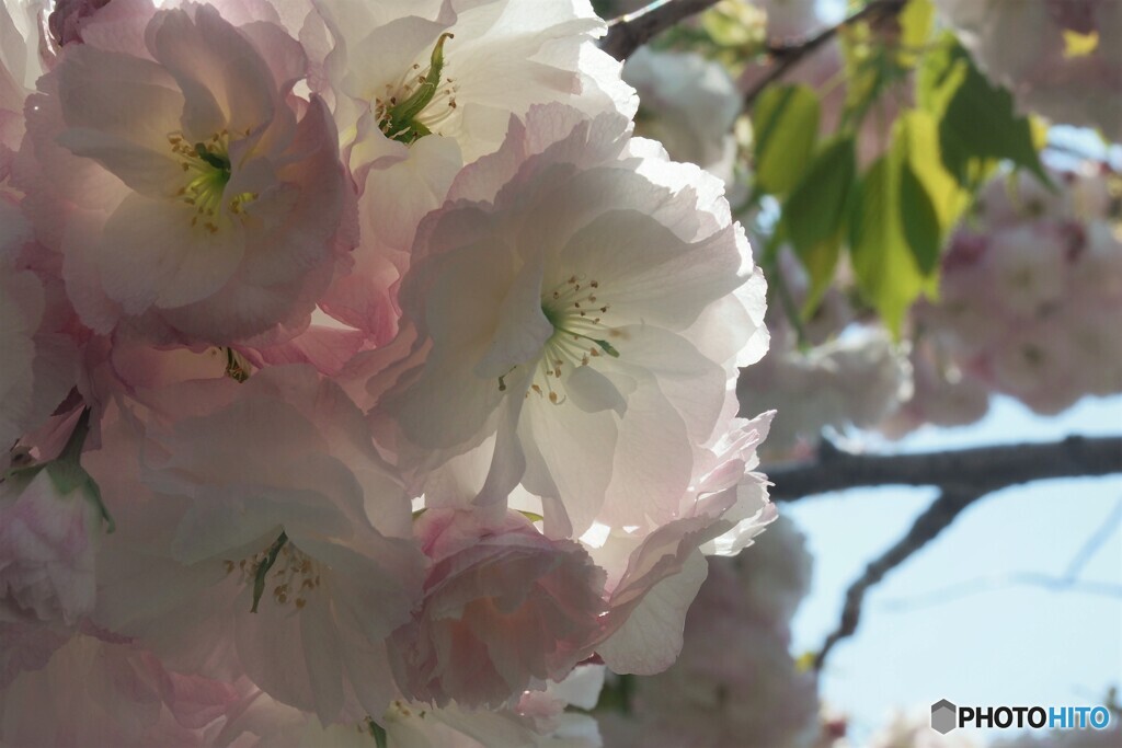 ４月のある日～ⅲ