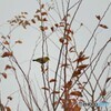冬の感謝～⑧