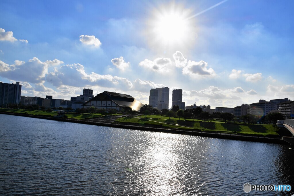 夏の汐入公園。