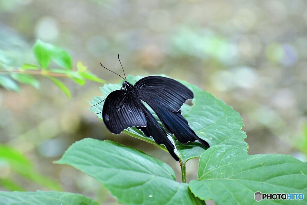 一休み