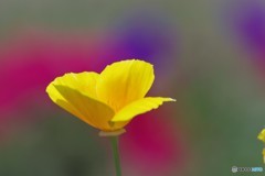 希望の持てる愛。