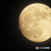 昨夜の月