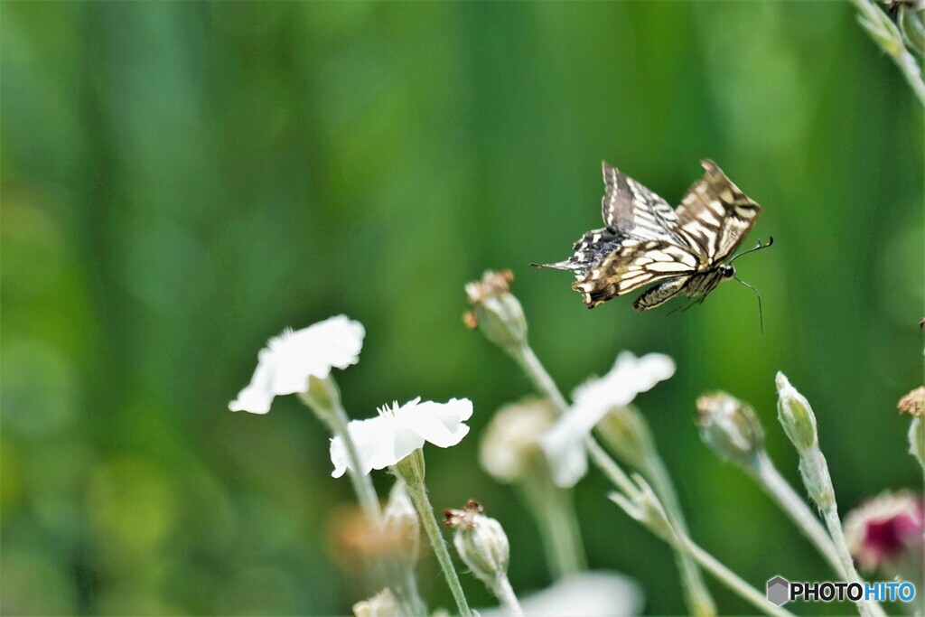 どれにしようか、、、？？