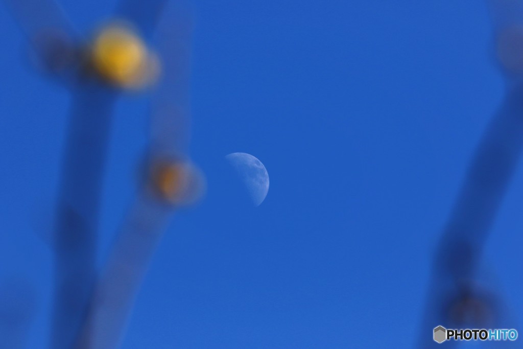 a waning moon