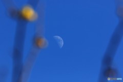 a waning moon