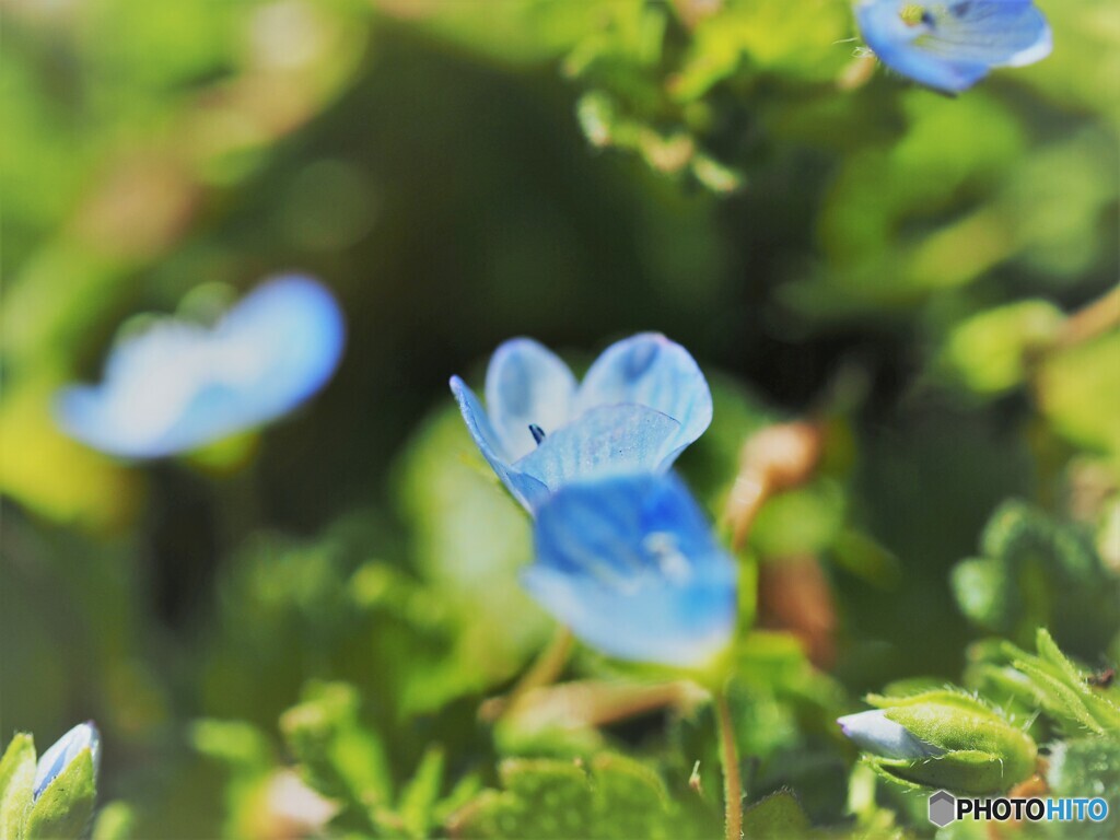 冬の星の如く～ⅲ