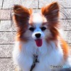 ノア君ー②