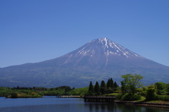 田貫湖からの雄姿－２