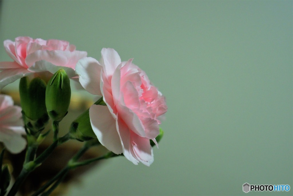 I’ll never forget you、、、。