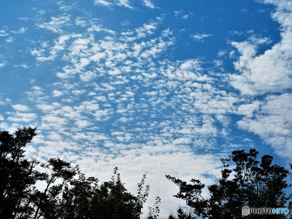 秋空