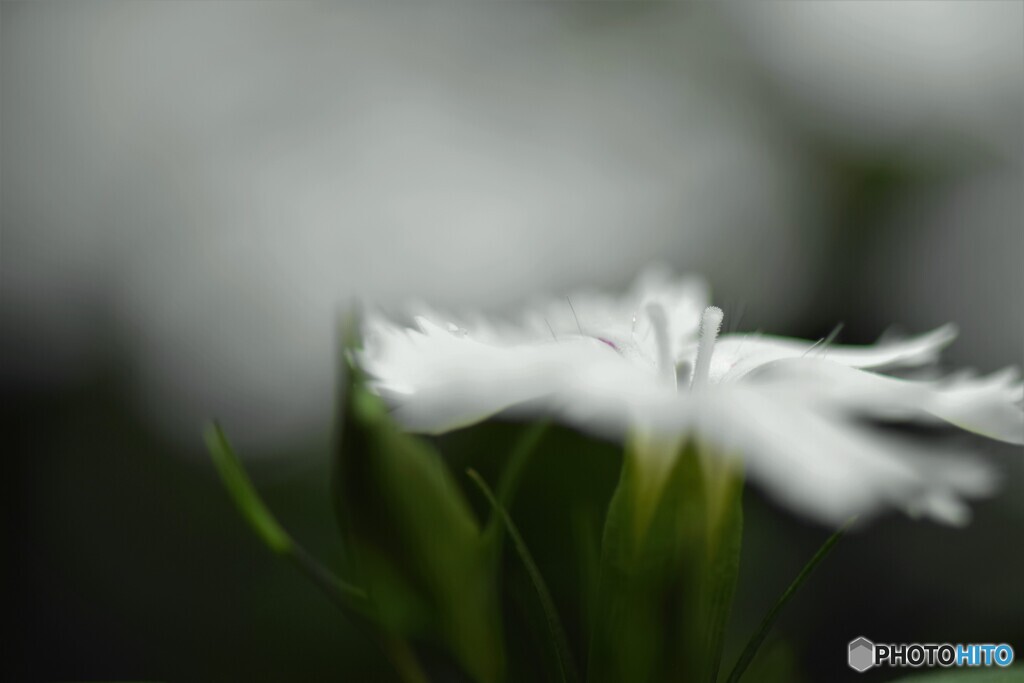 自粛のＧＷ～ⅲ