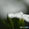 自粛のＧＷ～ⅲ