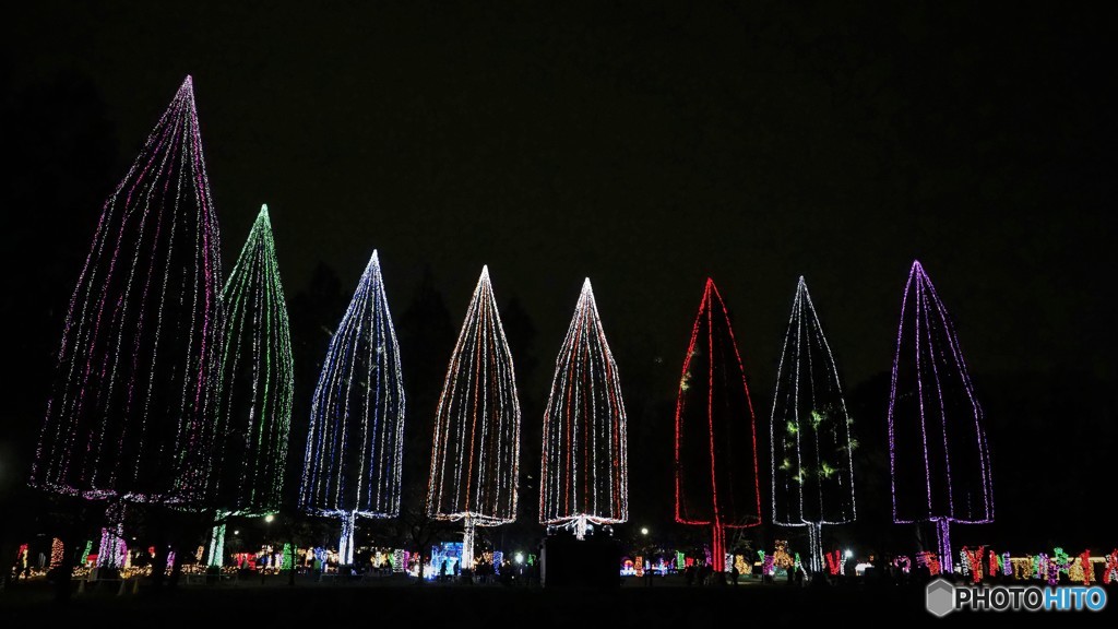 ８本のツリーの演技～④