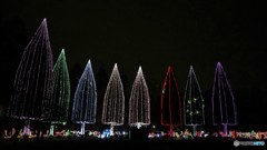 ８本のツリーの演技～④