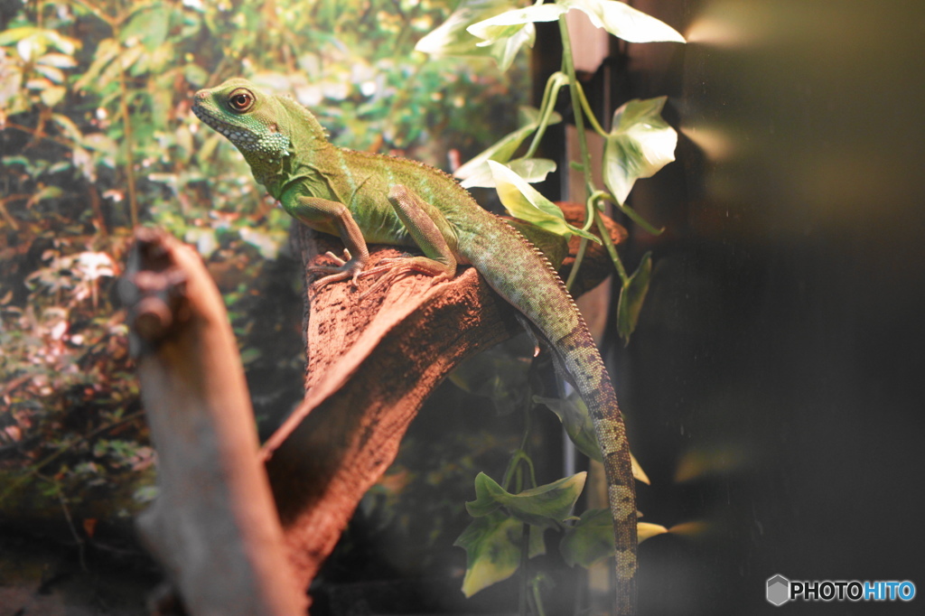 生物園Ⅱ－13