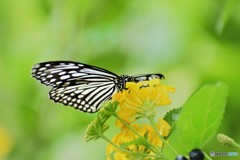 足立区立生物園～⑩