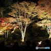 円通院ライトアップ～④