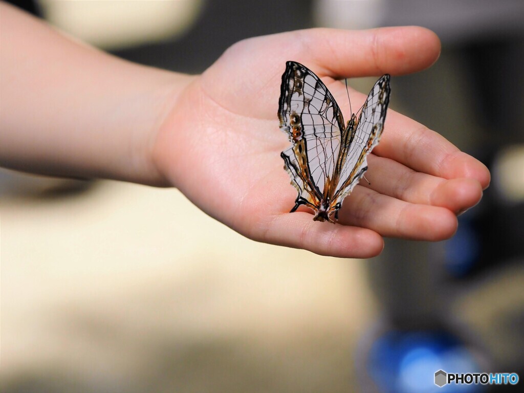 生物園２０２２～ⅱ