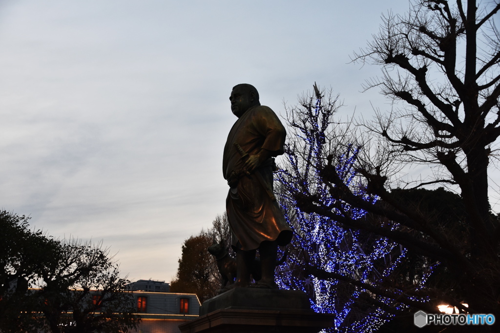 上野恩賜公園のクリスマス