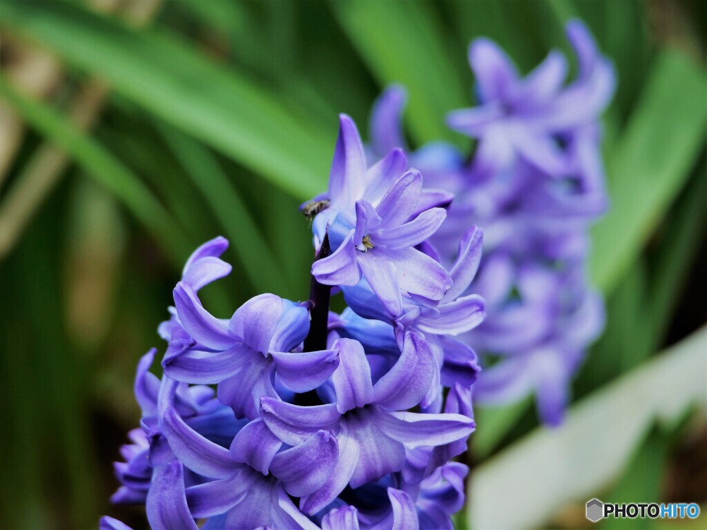 悲しみを超えた愛 By 4katu Id 1024 写真共有サイト Photohito