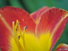 苦しみを忘れる