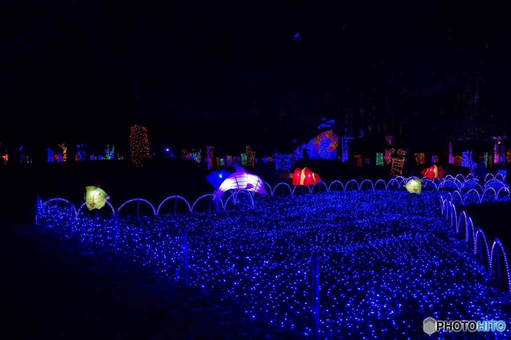 光の祭典２０１６－２