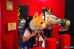 見る体験