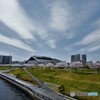 春の隅田川沿い。