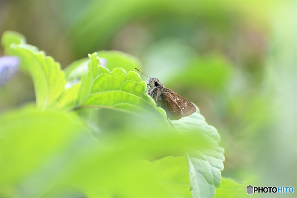 かくれんぼ～。