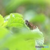 かくれんぼ～。