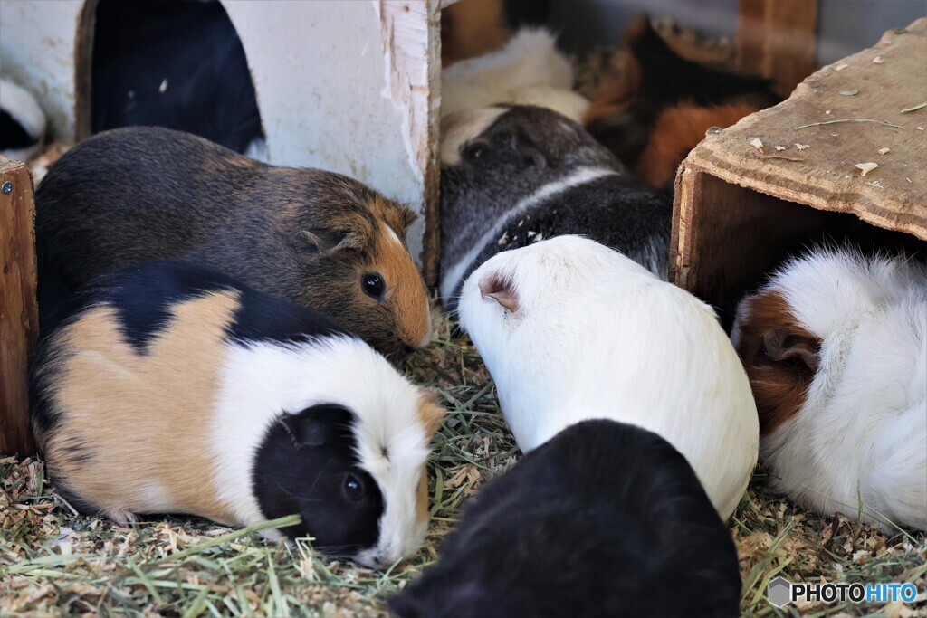 年末の生物園～xiv