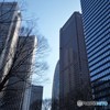 高層ビルの朝。