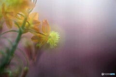 ベランダにて~② ベランダにて~②