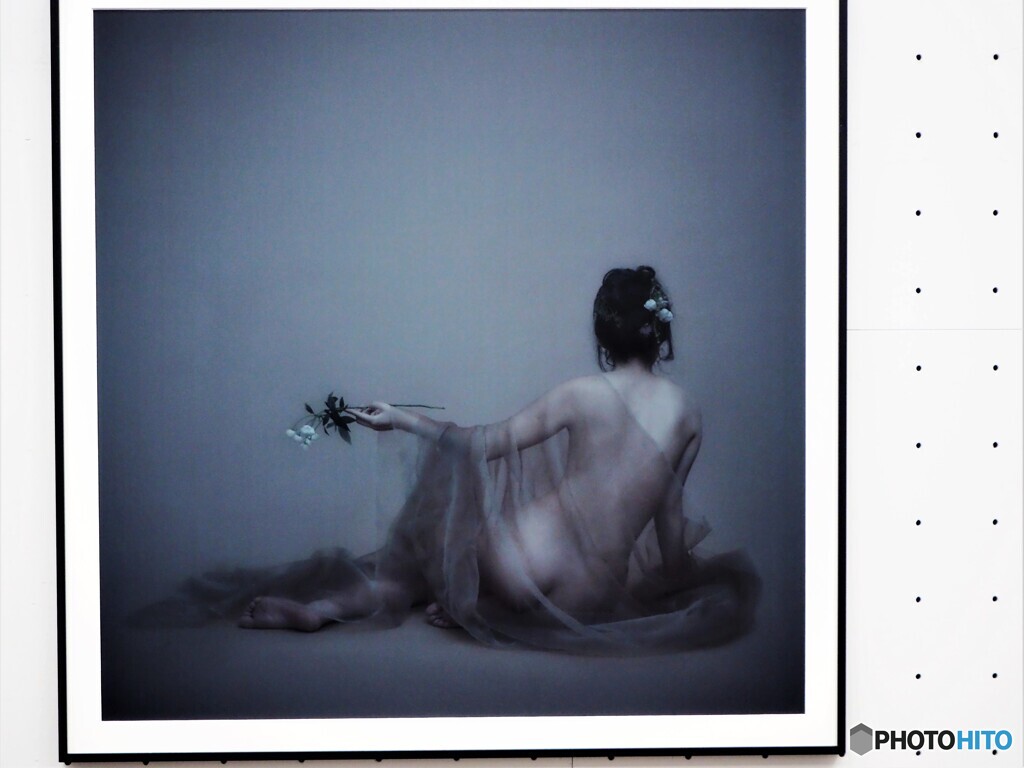国展～ⅵ