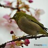 5年前の雨上がり～ⅳ