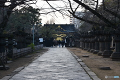 上野東照宮ーⅰ